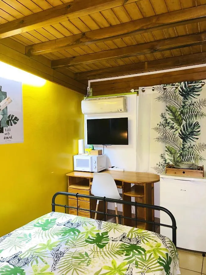 Studio Charmant A Basse Terre Vue Sur Jardin 15 M² アパート バステール