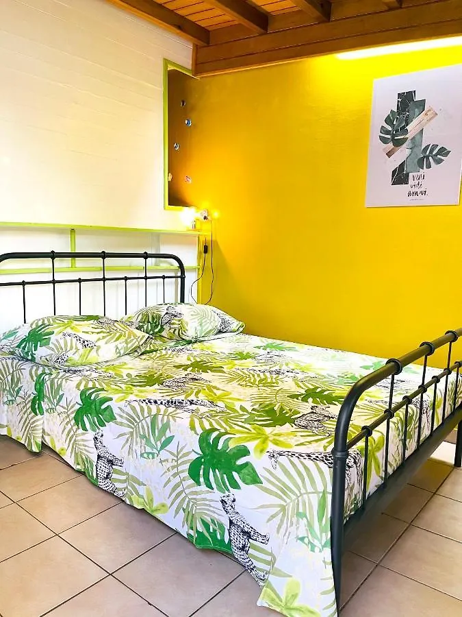 Studio Charmant A Basse Terre Vue Sur Jardin 15 M²