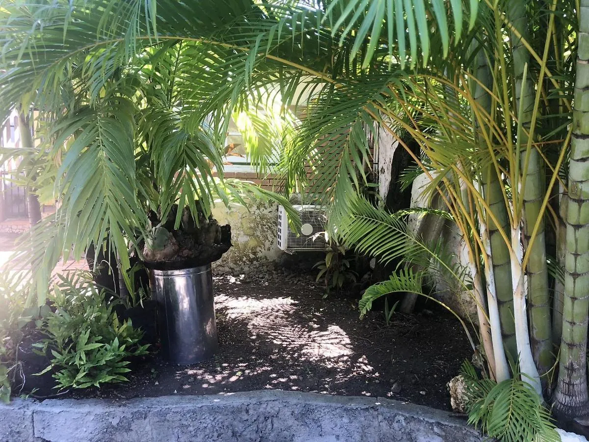 Studio Charmant A Basse Terre Vue Sur Jardin 15 M² Apartmán